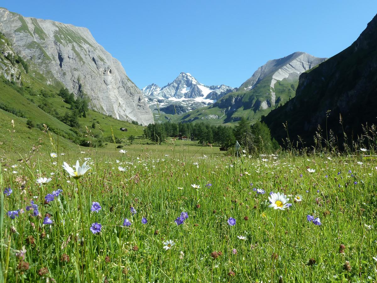 Отель Alpengasthof Lucknerhaus Кальс-ам-Гросглоккнер Экстерьер фото
